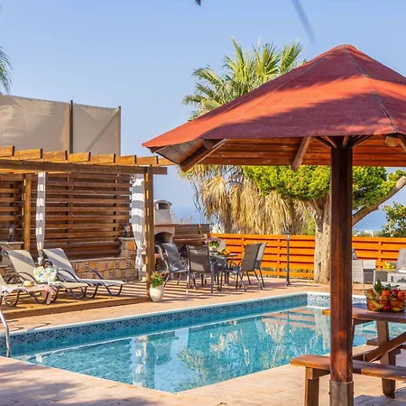 Stella فيلة ارغاكه